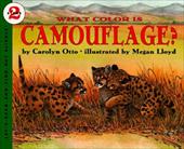 What Color Is Camouflage? What Color Is Camouflage?