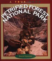 Petrified Forest National Park Petrified Forest National Park