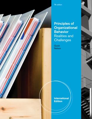 the realities and challenges of organizational the realities and challenges of organizational
