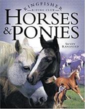 Riding Club Horses & Pon Riding Club Horses & Pon