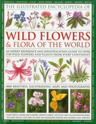flower encyclopedia picture book pictures to pin on pinterest pinsdaddy flower encyclopedia picture book pictures to pin on pinterest pinsdaddy