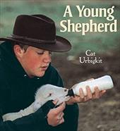 A Young Shepherd A Young Shepherd