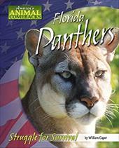 Florida Panthers: Struggle for Survival Florida Panthers: Struggle for Survival