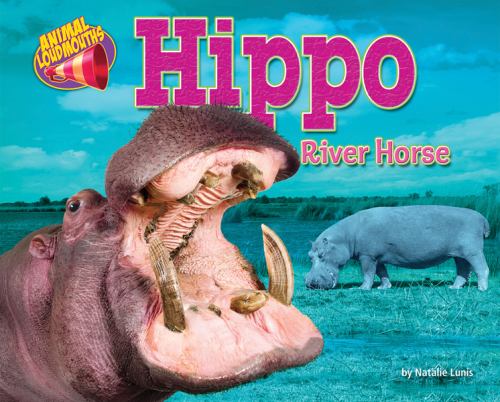 Hippo Horse