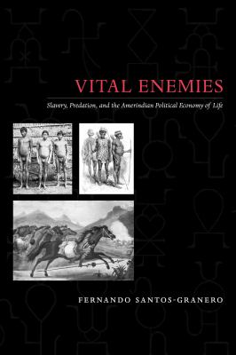 ISBN 9780292719132 product image for Vital Enemies : Slavery, Predation, and the Amerindian Political Economy of Life | upcitemdb.com
