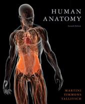Human Anatomy - Martini, Frederic H. / Timmons, Michael J. / Tallitsch, Robert B.