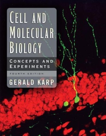 Download eBook pdf epub tuebl mobi