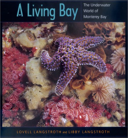 A Living Bay : The Underwater World of Monterey Bay by ff, Langstroth, Libby, Newberry, Todd, Langstroth, Lovell Monterey Bay Aquarium Staff