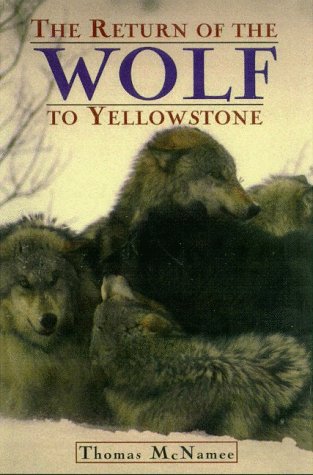 Return Of The Wolf To Yellowstone By Thomas Mcnamee