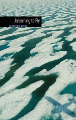 Unlearning to Fly by Jennifer Brice - Jennifer Brice
