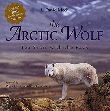 Arctic wolf essay