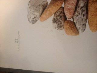 Haynes DRE 098 Durham Technical Community College