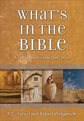 What's in the Bible: A Tour of Scripture from the Dust of Creation to the Glory of Revelation - Sproul, R. C., Jr. / Wolgemuth, Robert / Thomas Nelson Publishers