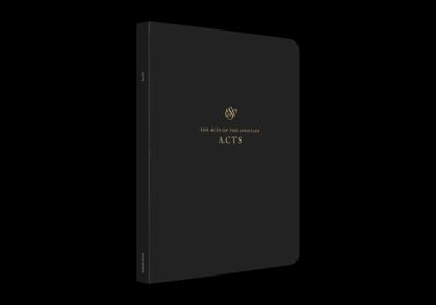 ISBN 9781433562310 product image for Esv Scripture Journal: Acts (Paperback) by Esv Esv Bibles (Paperback) | upcitemdb.com