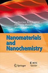 Nanomaterials and Nanochemistry - Brechignac, Catherine / Houdy, Philippe / Lahmani, Marcel